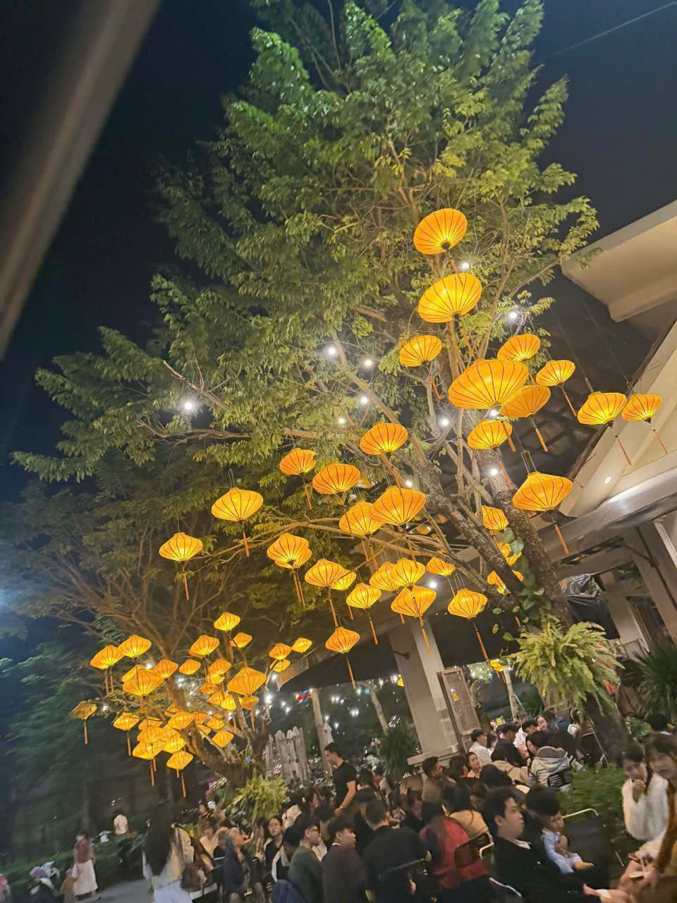 Z7569049190092 6d295ff08e0b7c8c87be0ba1d4f4a133