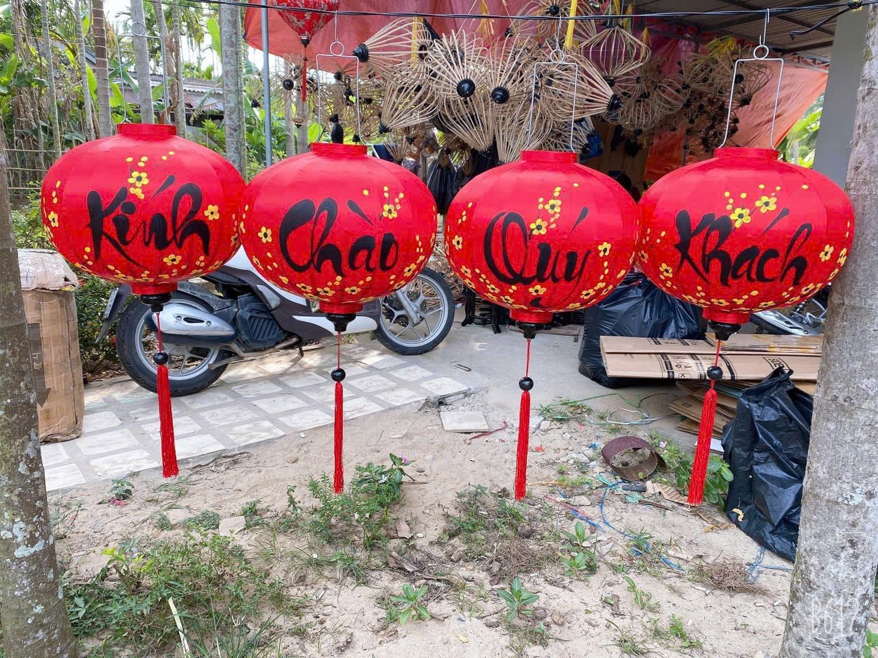 Z7569114071849 D1b7a07d899b315e50cc6c57358eb73d